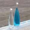Best Glass Juice Bottles